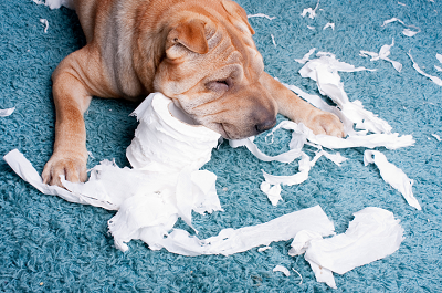 best business blogs need to be completely finished