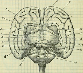 seven-tactics-for-getting-blog-post-ideas